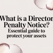 what-is-a-director-penalty-notice-director-penalty what is a director penalty notice director penalty