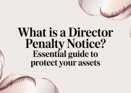 what is a director penalty notice director penalty