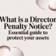 what is a director penalty notice director penalty
