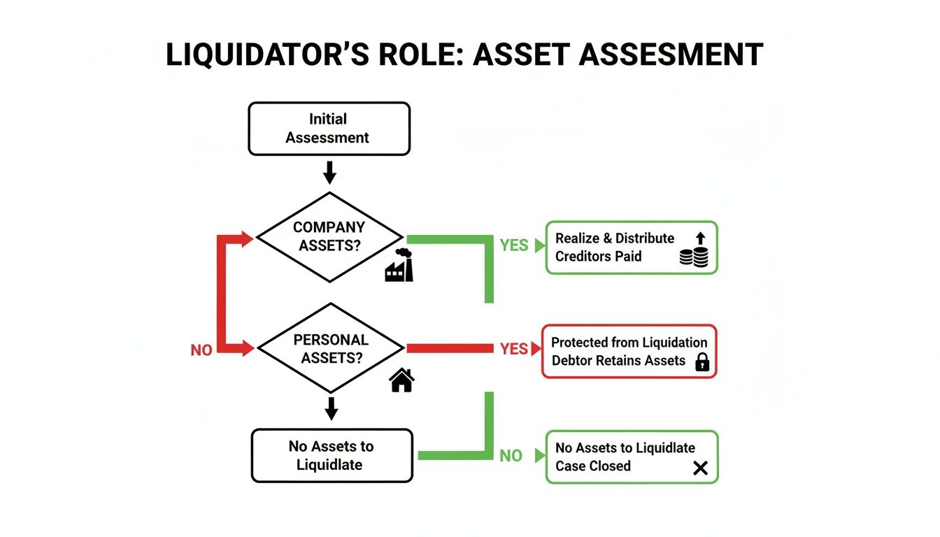 Can Liquidators Take Your House in 2026? 3 Flowchart detailing a liquidator's role in assessing company and personal assets during liquidation.