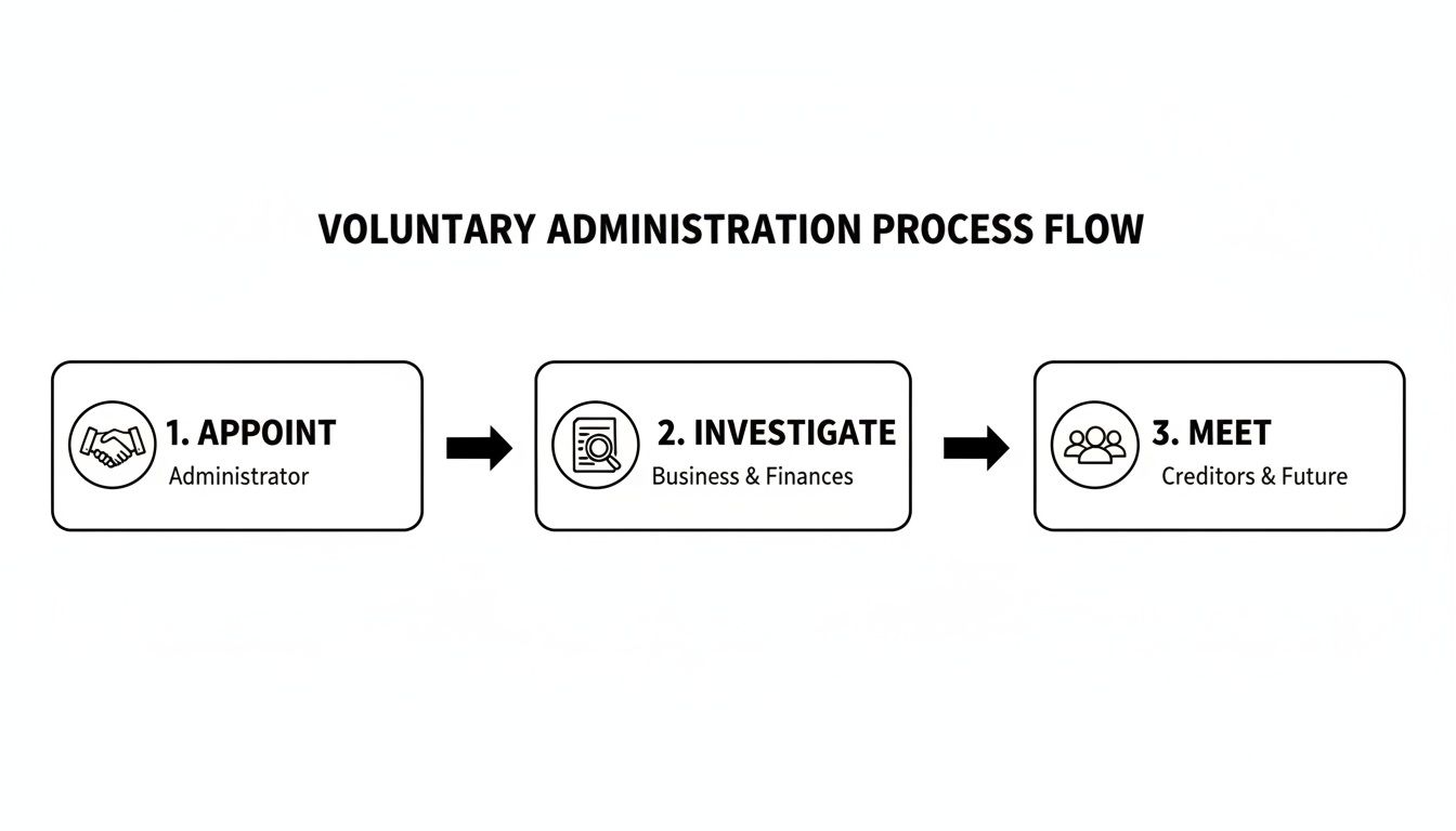 A flowchart illustrating the three steps of the voluntary administration process: Appoint, Investigate, and Meet.